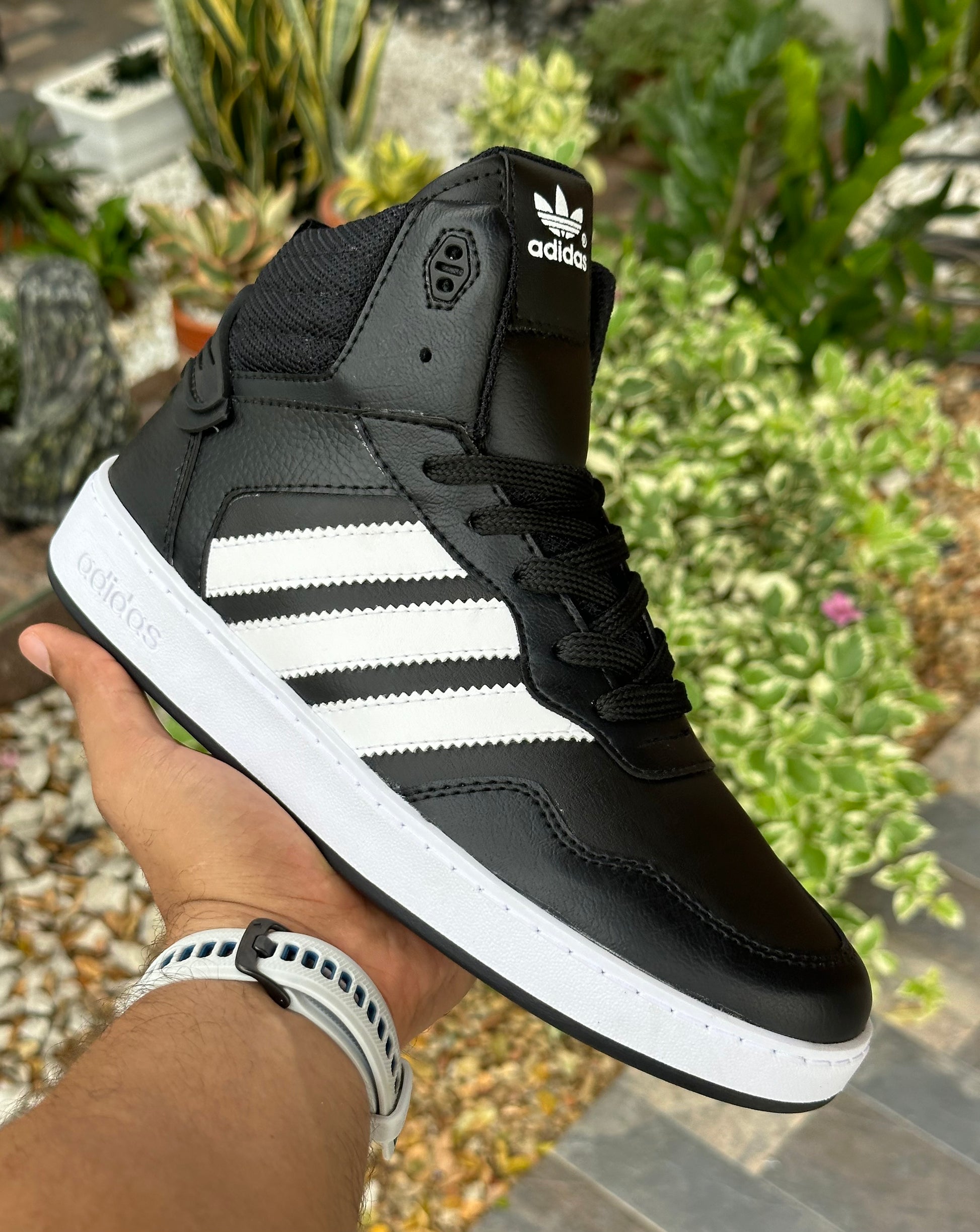 Adidas Hoops 3.0