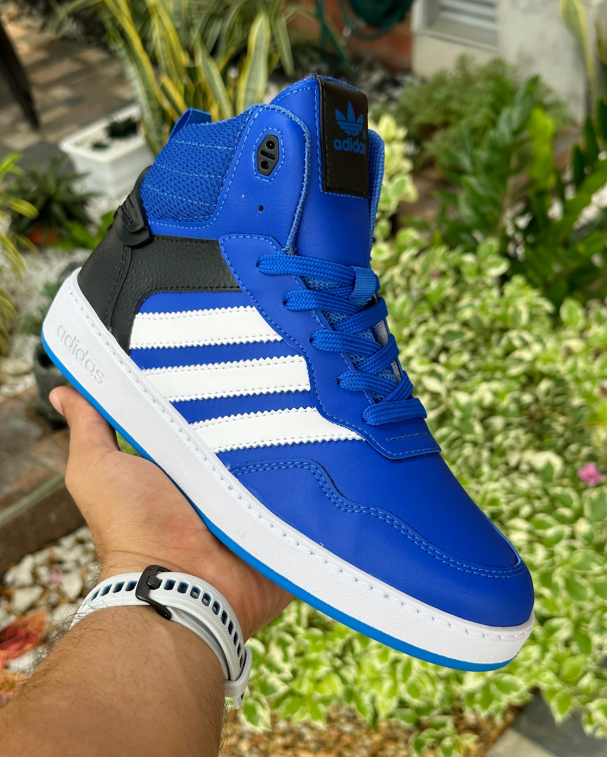 Adidas Hoops 3.0